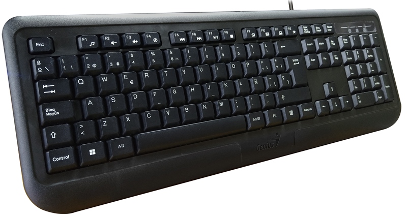 TECLADO GENIUS KB-118 II             USB