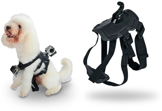 ARNES P/MASCOTA P/CAMARA DEPORTIVA NISUT miniatura 3