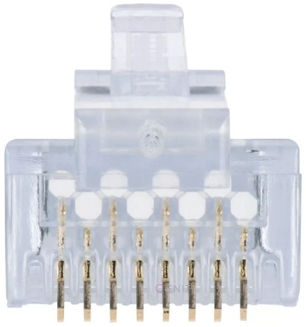 PLUG RJ45 CAT6             NEXXT miniatura 2